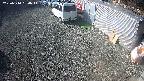 yotec2-20250310090015.jpg