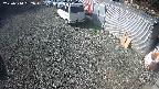 yotec2-20250310092016.jpg