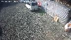 yotec2-20250310093014.jpg