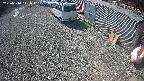 yotec2-20250310111016.jpg