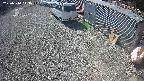 yotec2-20250310113015.jpg
