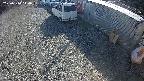 yotec2-20250310144016.jpg