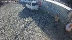 yotec2-20250310145018.jpg