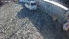 yotec2-20250310150014.jpg