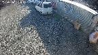 yotec2-20250310152016.jpg
