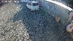 yotec2-20250310153015.jpg