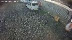 yotec2-20250310180017.jpg