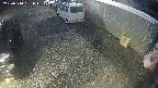 yotec2-20250310181016.jpg