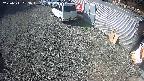 yotec2-20250311093014.jpg