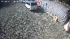 yotec2-20250311095016.jpg