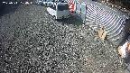 yotec2-20250311100015.jpg