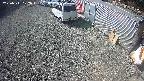 yotec2-20250311102014.jpg