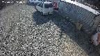 yotec2-20250311140014.jpg