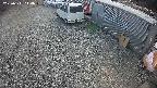 yotec2-20250311144015.jpg