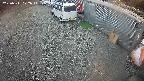 yotec2-20250311172015.jpg