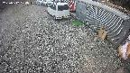 yotec2-20250312124017.jpg