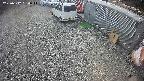 yotec2-20250312130016.jpg