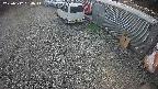 yotec2-20250312134016.jpg