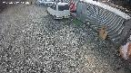 yotec2-20250312140015.jpg