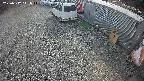 yotec2-20250312141016.jpg