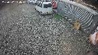 yotec2-20250312144016.jpg