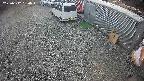 yotec2-20250312150017.jpg