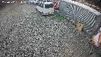 yotec2-20250312151016.jpg
