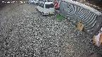 yotec2-20250312152018.jpg