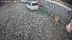 yotec2-20250312153016.jpg