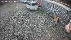 yotec2-20250312154016.jpg