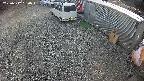 yotec2-20250312160015.jpg