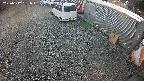 yotec2-20250312161015.jpg