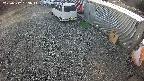yotec2-20250312163015.jpg