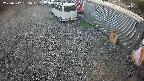 yotec2-20250312165017.jpg