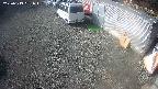 yotec2-20250313091016.jpg