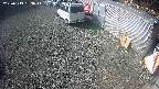 yotec2-20250313093015.jpg