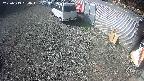 yotec2-20250313094015.jpg