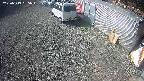 yotec2-20250313095014.jpg