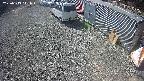 yotec2-20250313111014.jpg