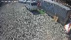 yotec2-20250313115016.jpg