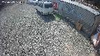 yotec2-20250313124015.jpg