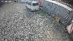 yotec2-20250313135015.jpg