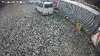 yotec2-20250313143017.jpg