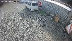 yotec2-20250313144016.jpg