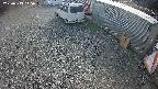 yotec2-20250313145015.jpg