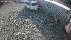 yotec2-20250313150015.jpg