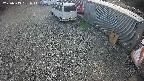 yotec2-20250313151016.jpg