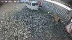 yotec2-20250313153015.jpg