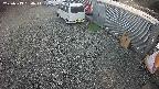 yotec2-20250313154016.jpg