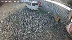 yotec2-20250313160016.jpg